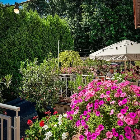 Pod Kolumnami 3* Pilica