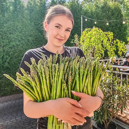 Pod Kolumnami Gasthuis Pilica