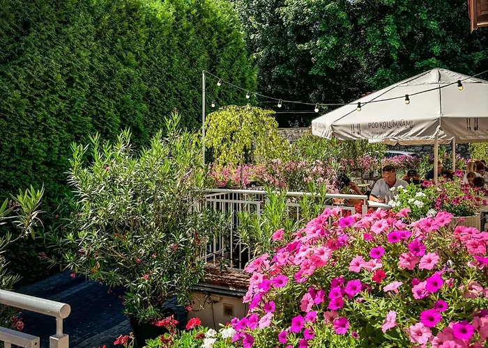 科伦纳米旅馆 3* Pilica