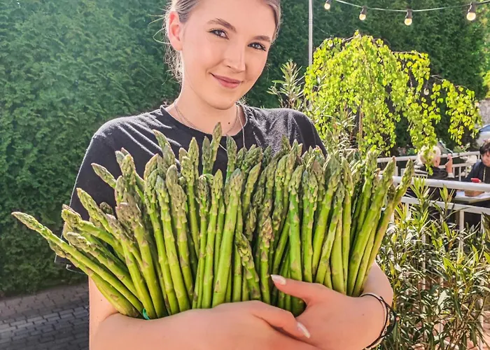 科伦纳米旅馆 招待所 Pilica